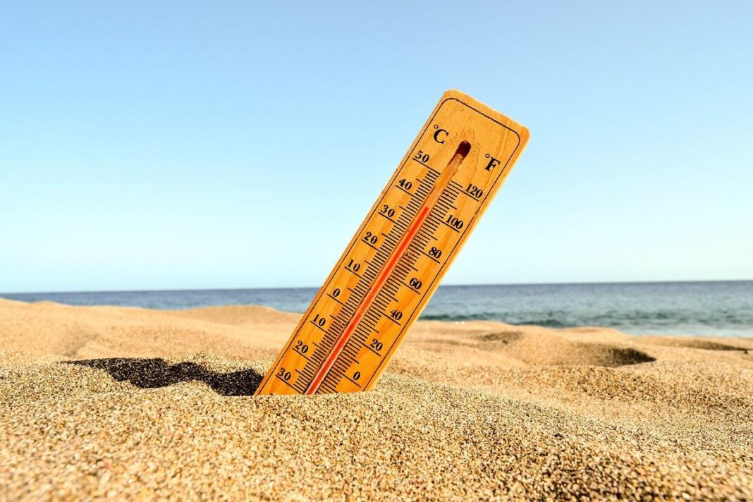 si-el-calor-reduce-el-apetito,-¿por-que-en-verano-ganamos-algunos-kilos-de-mas?