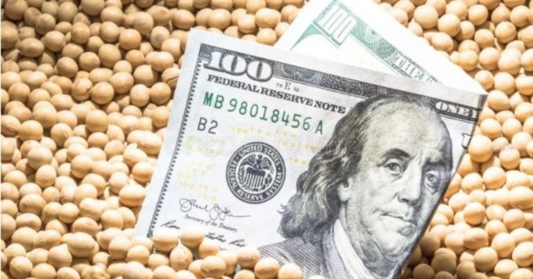 Por la baja de las retenciones, esperan que el BCRA vuelva a comprar dólares para las reservas