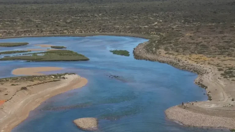 Chubut: hallaron sin vida a un pescador con el equipo de buceo en mal estado
