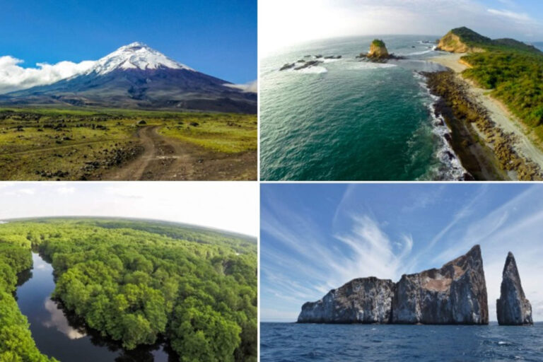 El presidente Noboa presentó ley para recuperar áreas protegidas