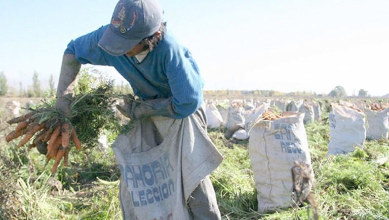 Trabajadores rurales, aumenta la prestación por desempleo