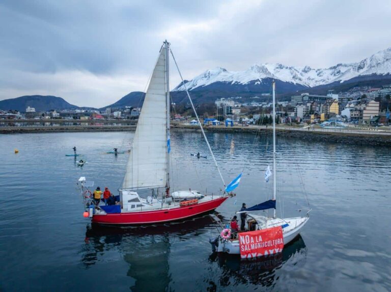 Fuerte mensaje en contra de las salmoneras