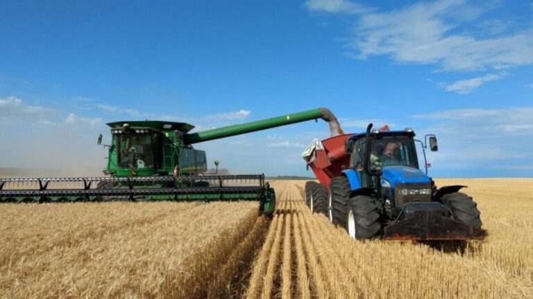 El Gobierno vuelve a aumentar las retenciones al campo: todos los detalles