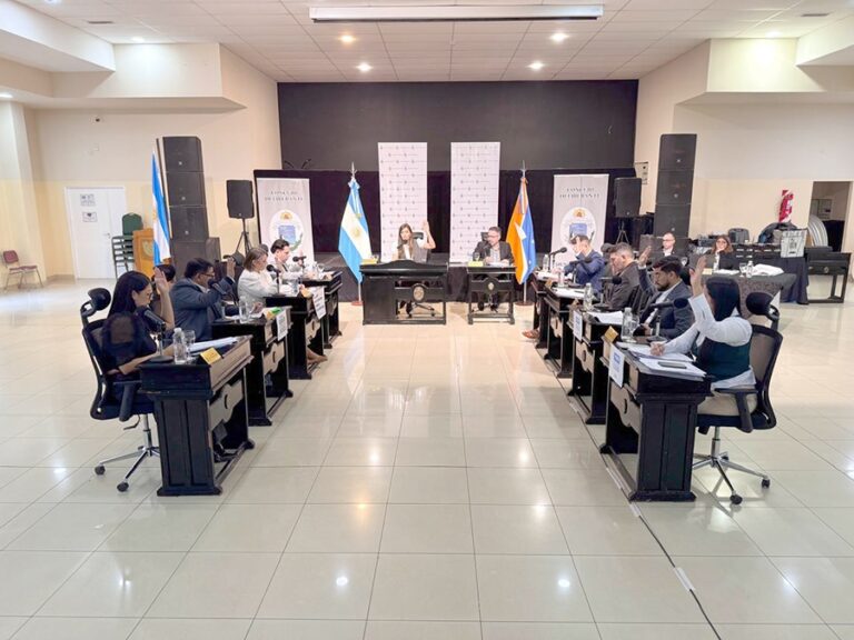 Batería de proyectos en sesión del Concejo