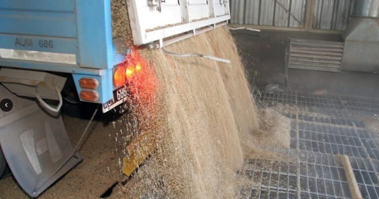 El precio del principal producto exportado por Argentina tocó un mínimo en más de 15 años
