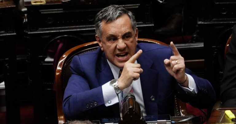 Un diputado del PRO propuso eliminar la figura del vicepresidente: Solo sirve para conspirar