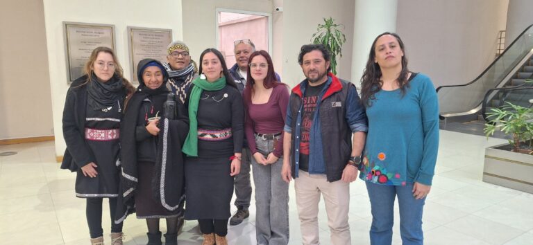 La izquierda llevó a la Legislatura y al Concejo Deliberante el debate sobre la represión y derechos mapuche