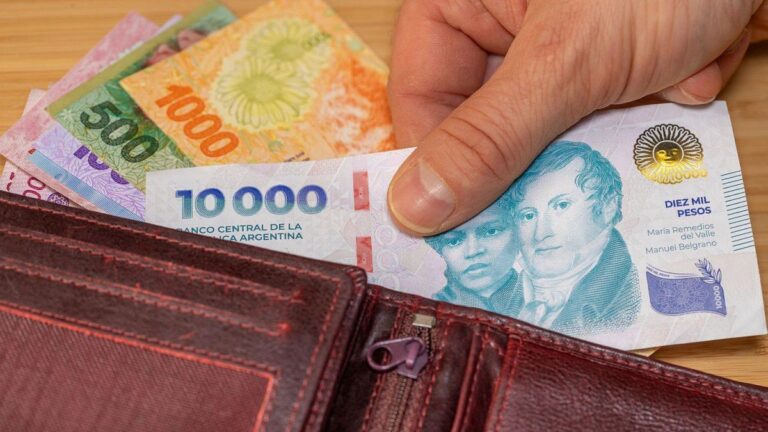 Inflación en la Argentina: cuáles fueron los productos básicos que más subieron y bajaron en julio 2025