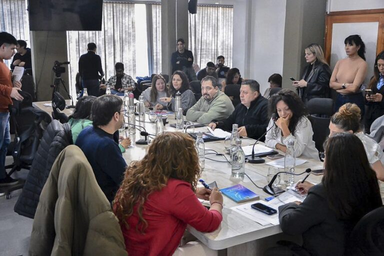 El jueves sesiona la comisión de Información y Debate Ciudadano