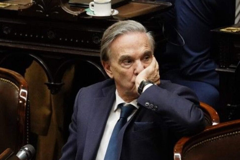 Pichetto terminó domado en redes por querer prohibir el sitiowebShein