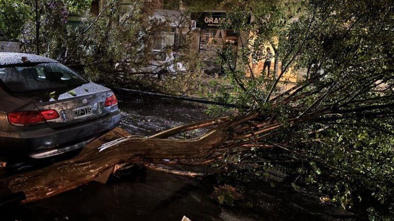 Tormenta de Santa Rosa con ciclogénesis: la dura advertencia de los pronosticadores del tiempo