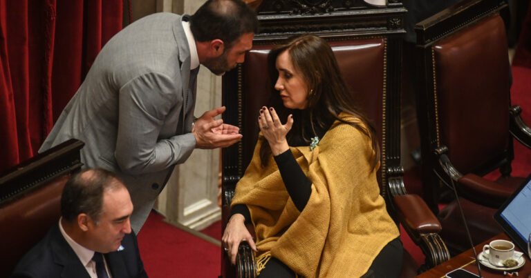 Sesión caliente: la oposición del Senado busca voltear el veto en Discapacidad y cambiar la ley de DNU para limitar el poder de Milei